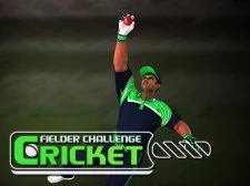 Cricket Fielder Challenge Game